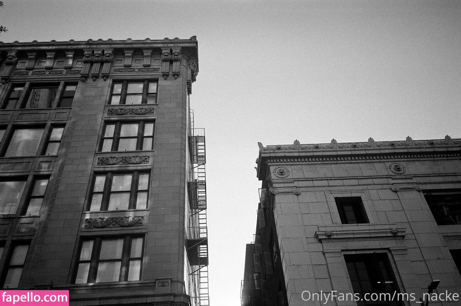 ms_nacke Onlyfans Photo Gallery 