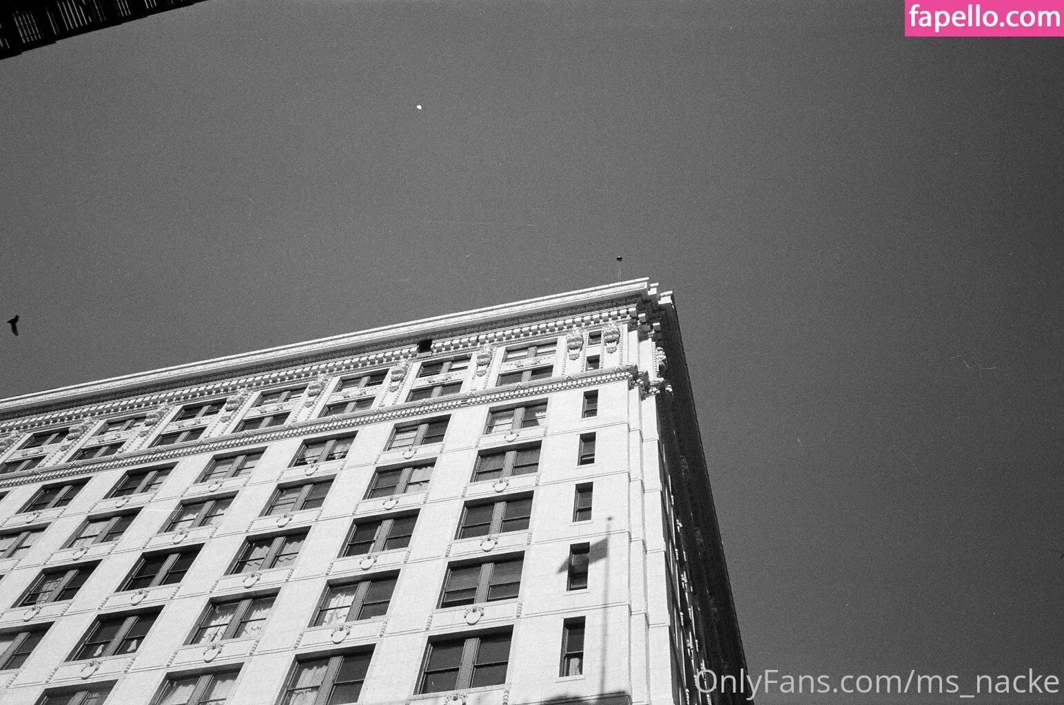 ms_nacke Onlyfans Photo Gallery 