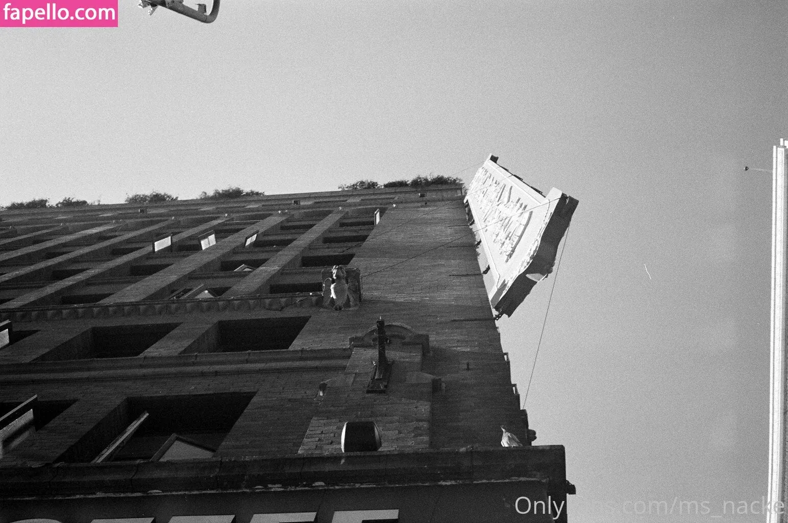 ms_nacke Onlyfans Photo Gallery 