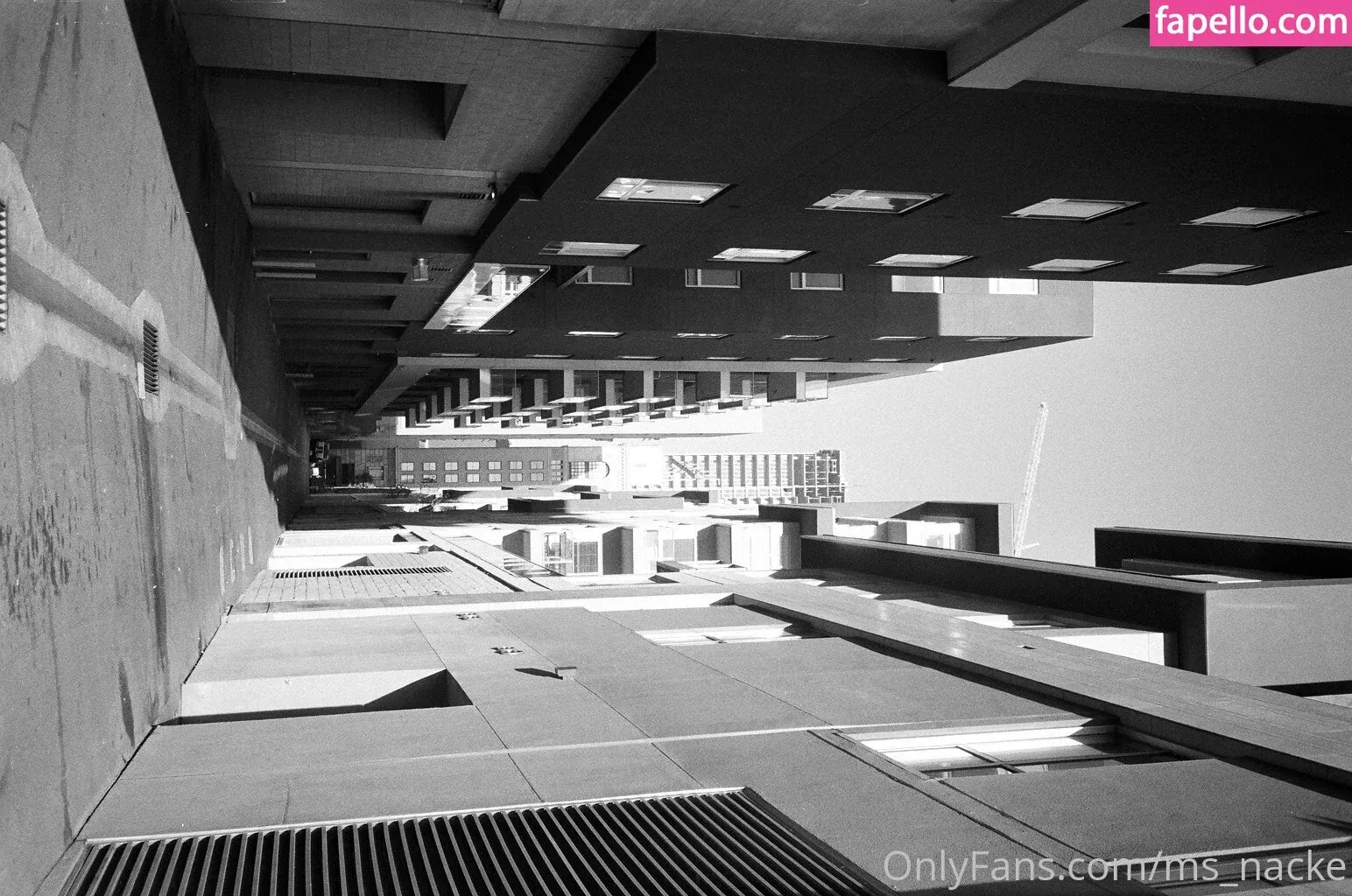 ms_nacke Onlyfans Photo Gallery 