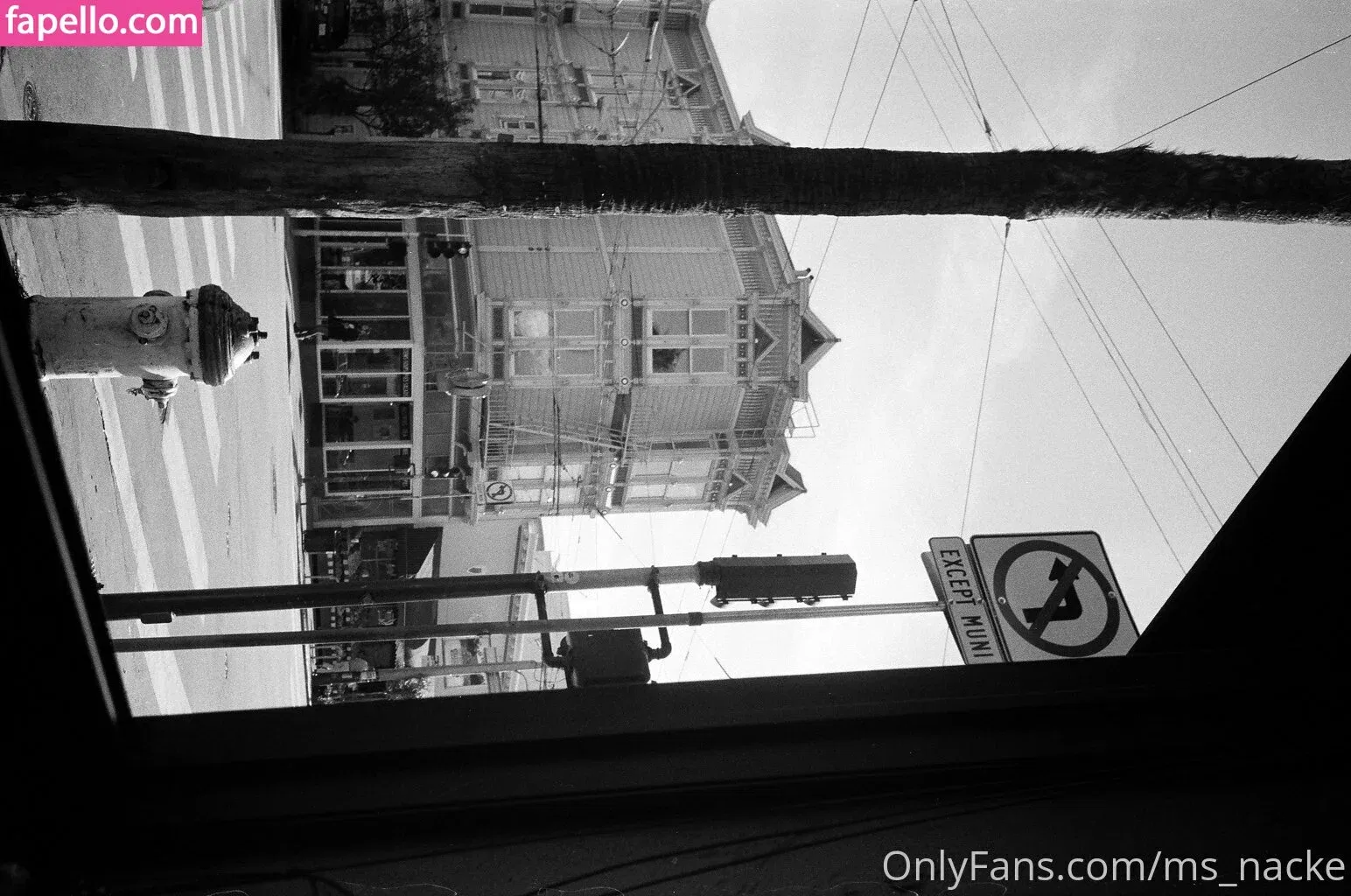 ms_nacke Onlyfans Photo Gallery 