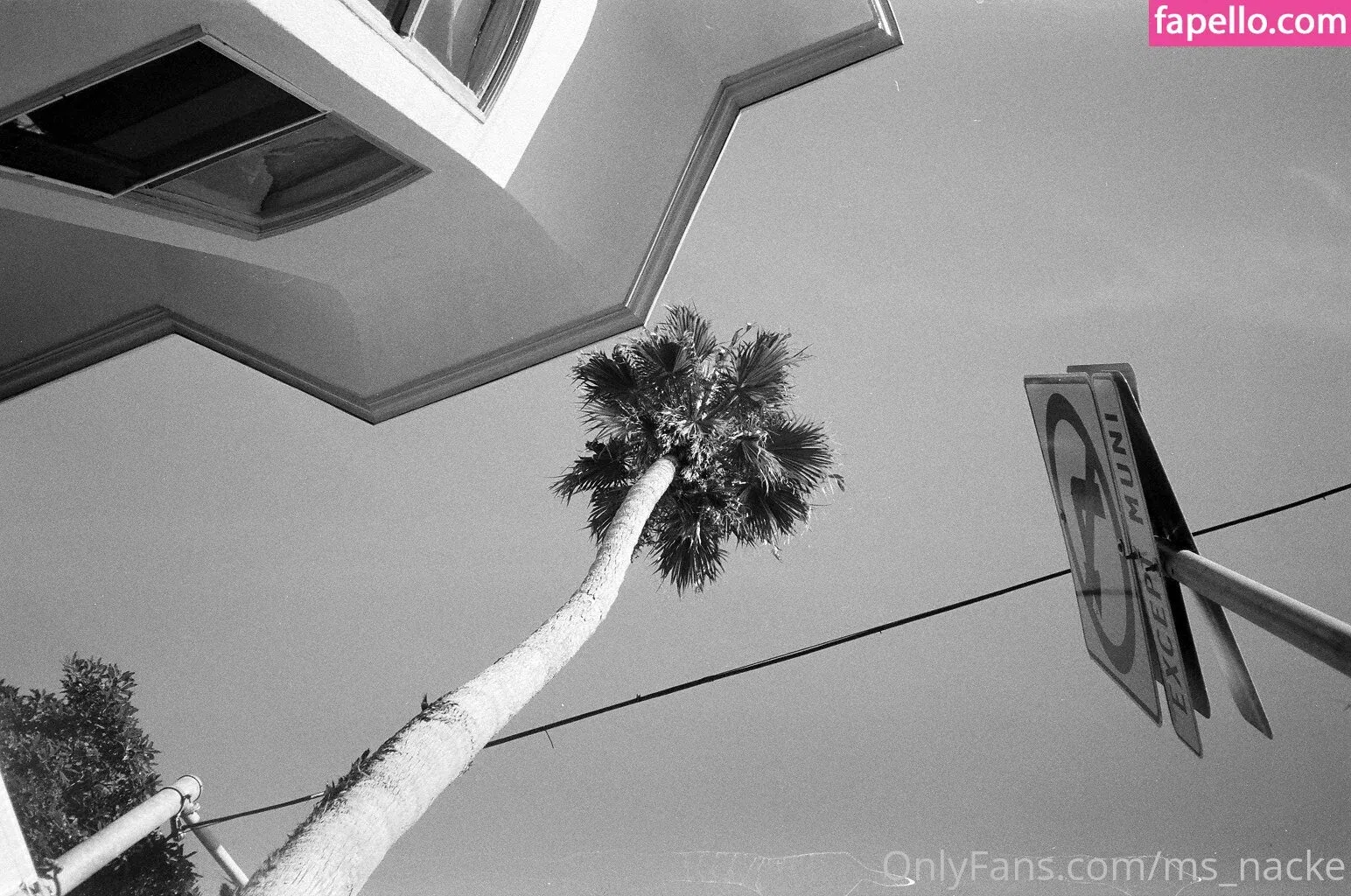 ms_nacke Onlyfans Photo Gallery 