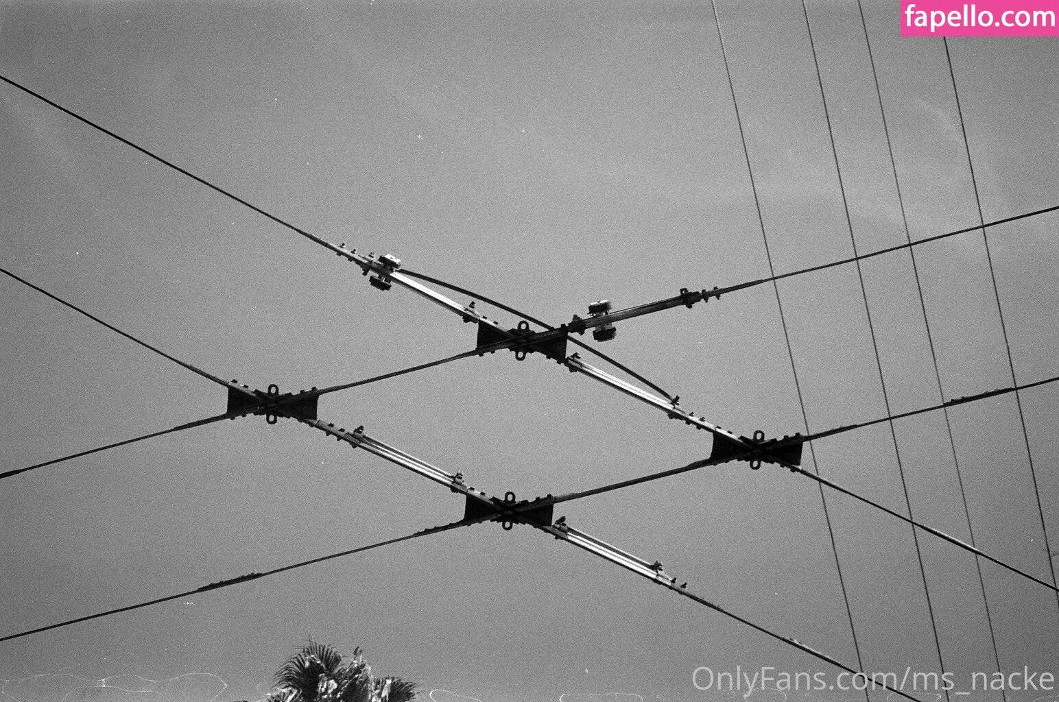 ms_nacke Onlyfans Photo Gallery 