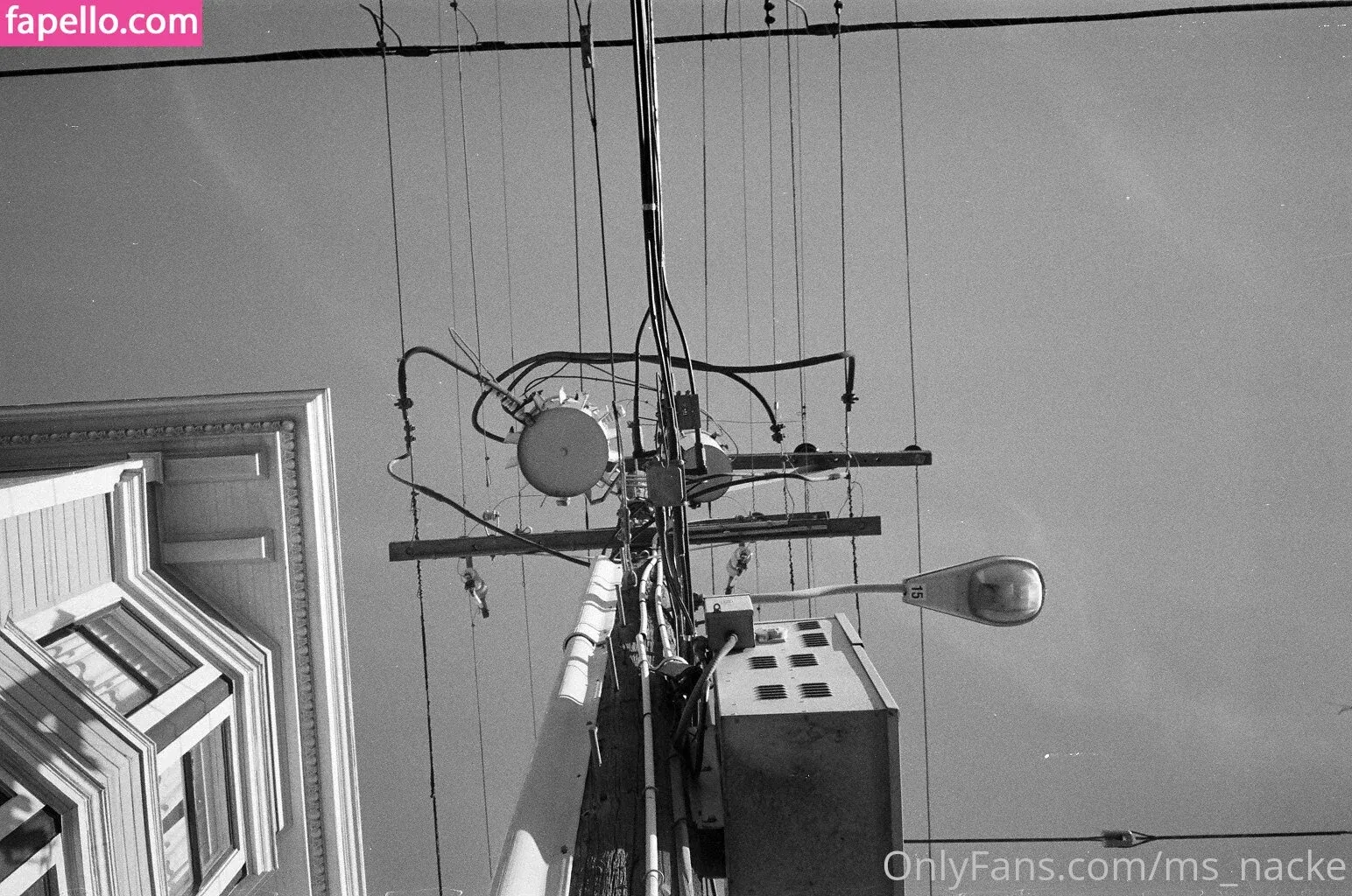 ms_nacke Onlyfans Photo Gallery 