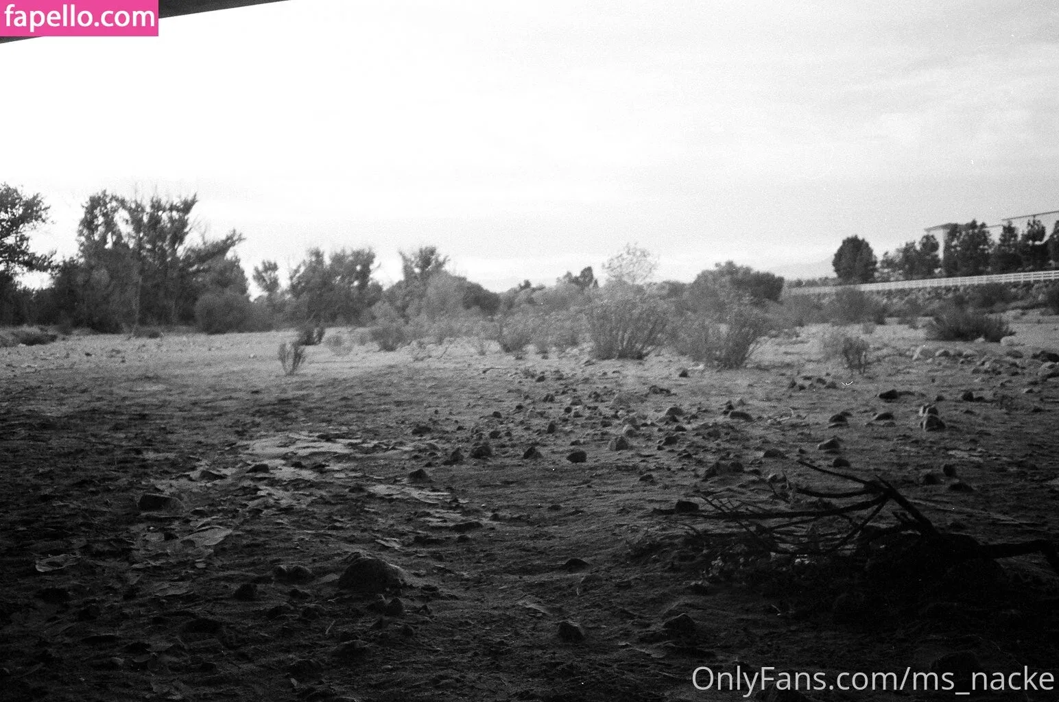 ms_nacke Onlyfans Photo Gallery 