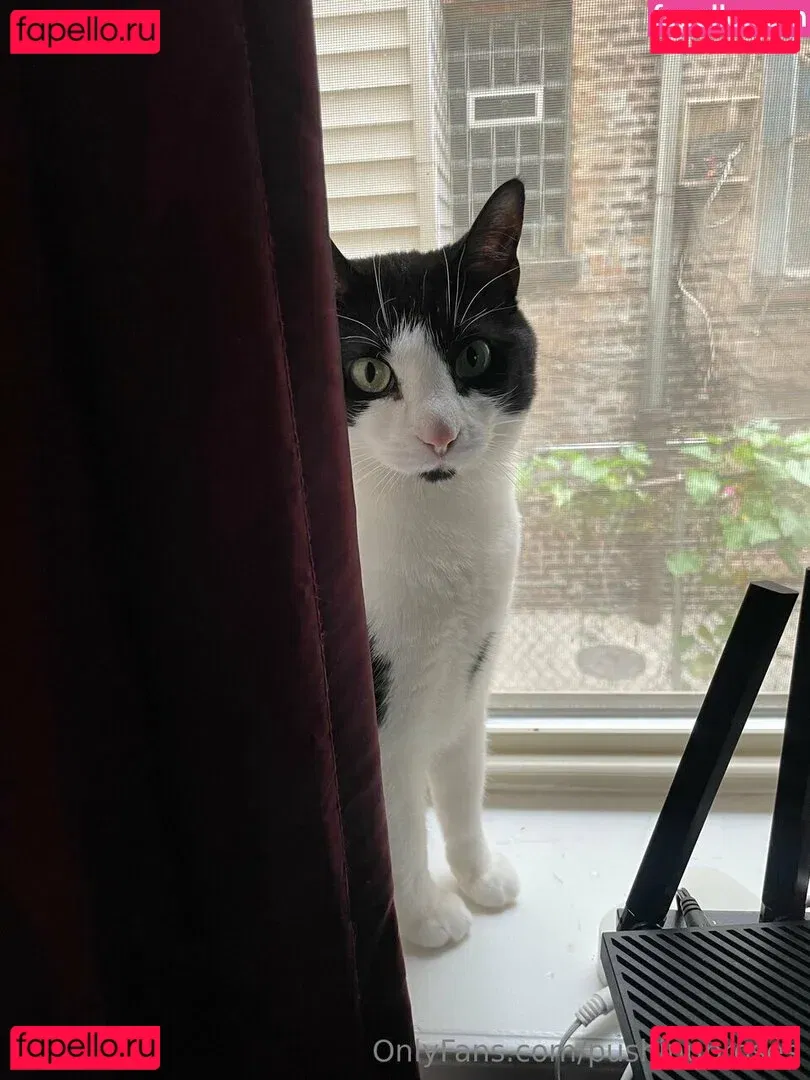 PushingUpRoses Onlyfans Photo Gallery 