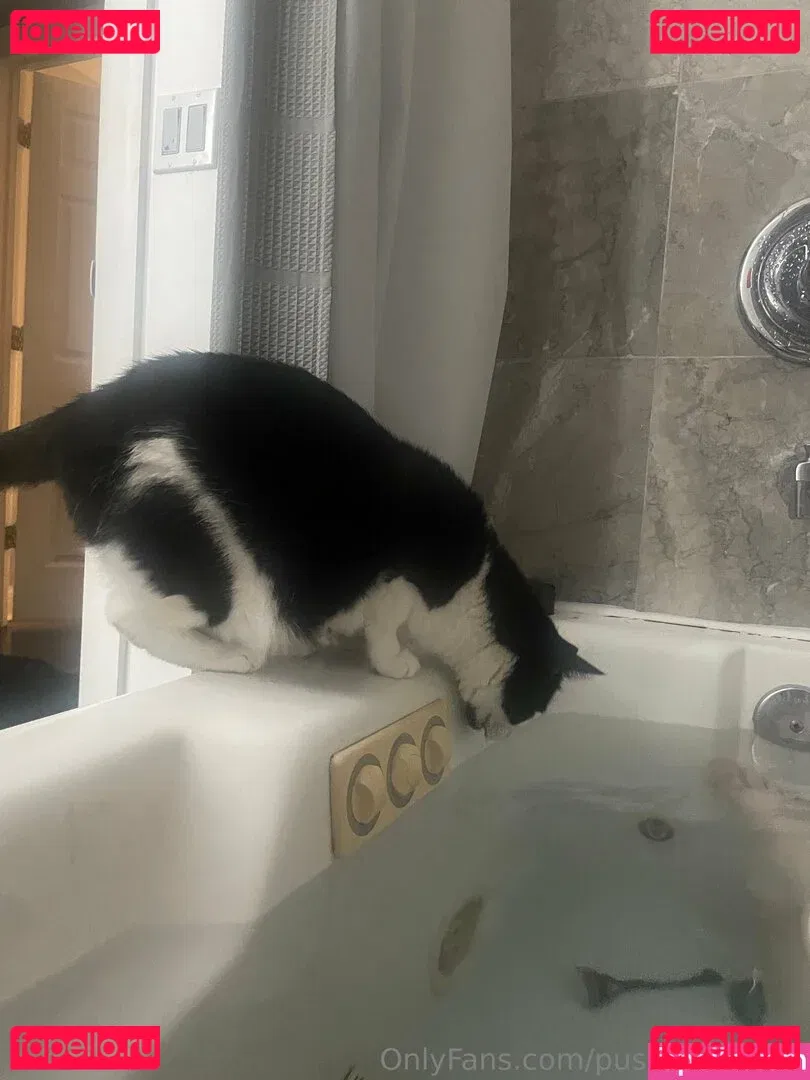 PushingUpRoses Onlyfans Photo Gallery 