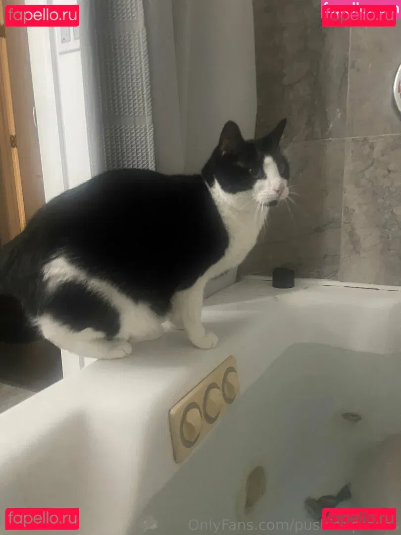 PushingUpRoses Onlyfans Photo Gallery 