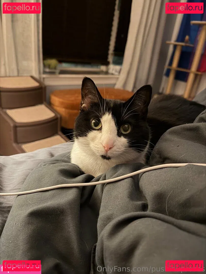 PushingUpRoses Onlyfans Photo Gallery 