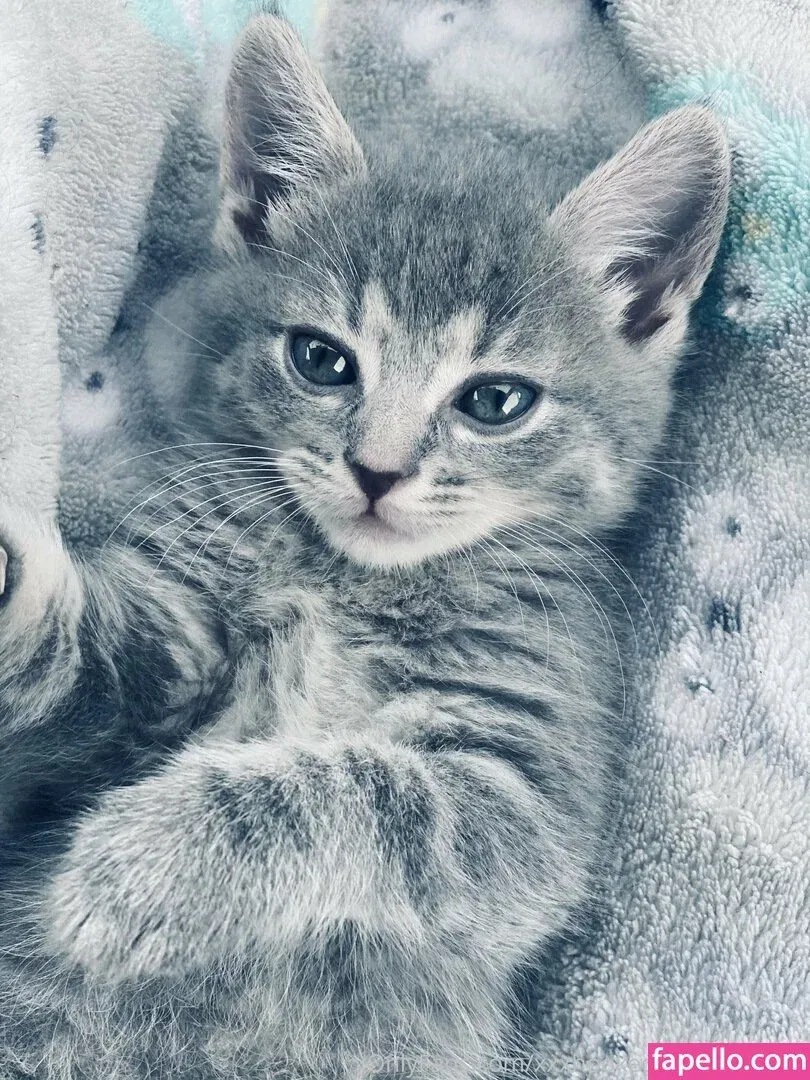 xxxhookedonbrookefree Onlyfans Photo Gallery 