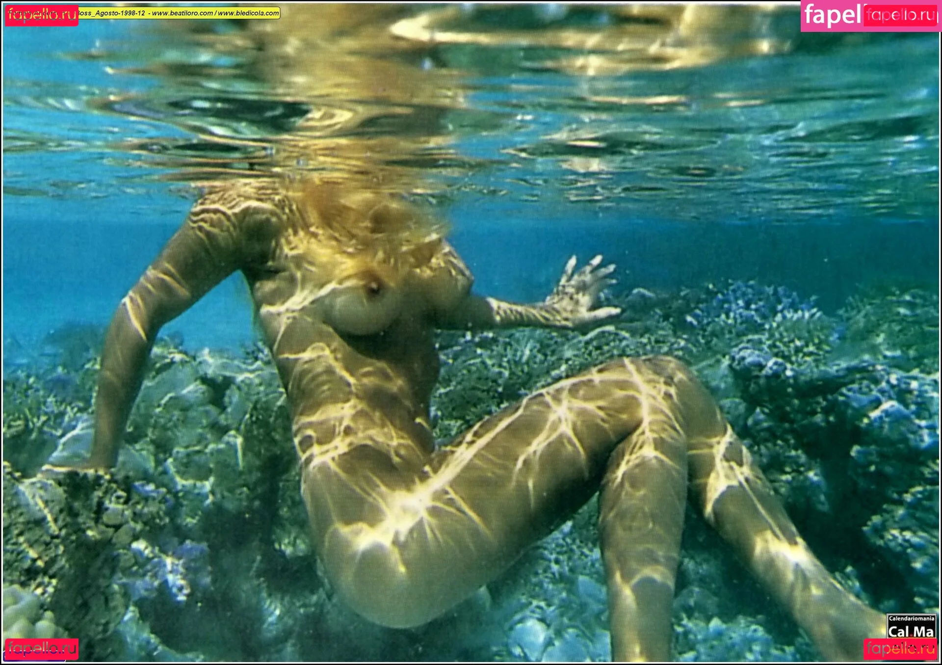 Pamela Anderson Onlyfans Photo Gallery 