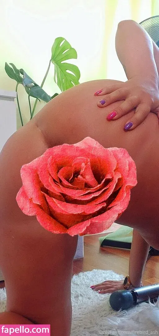 firebird_ash Onlyfans Photo Gallery 