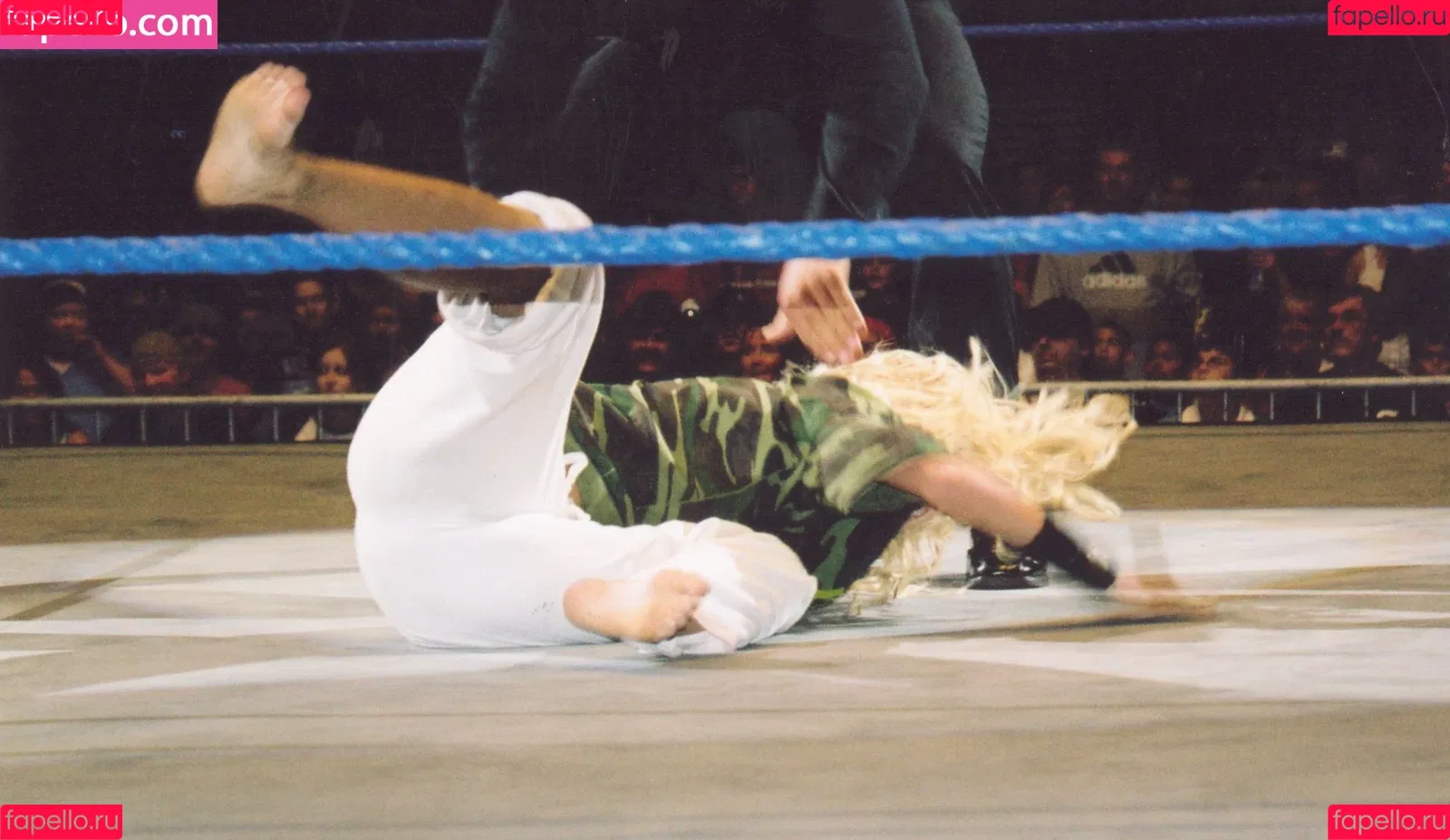 Torrie Wilson Onlyfans Photo Gallery 