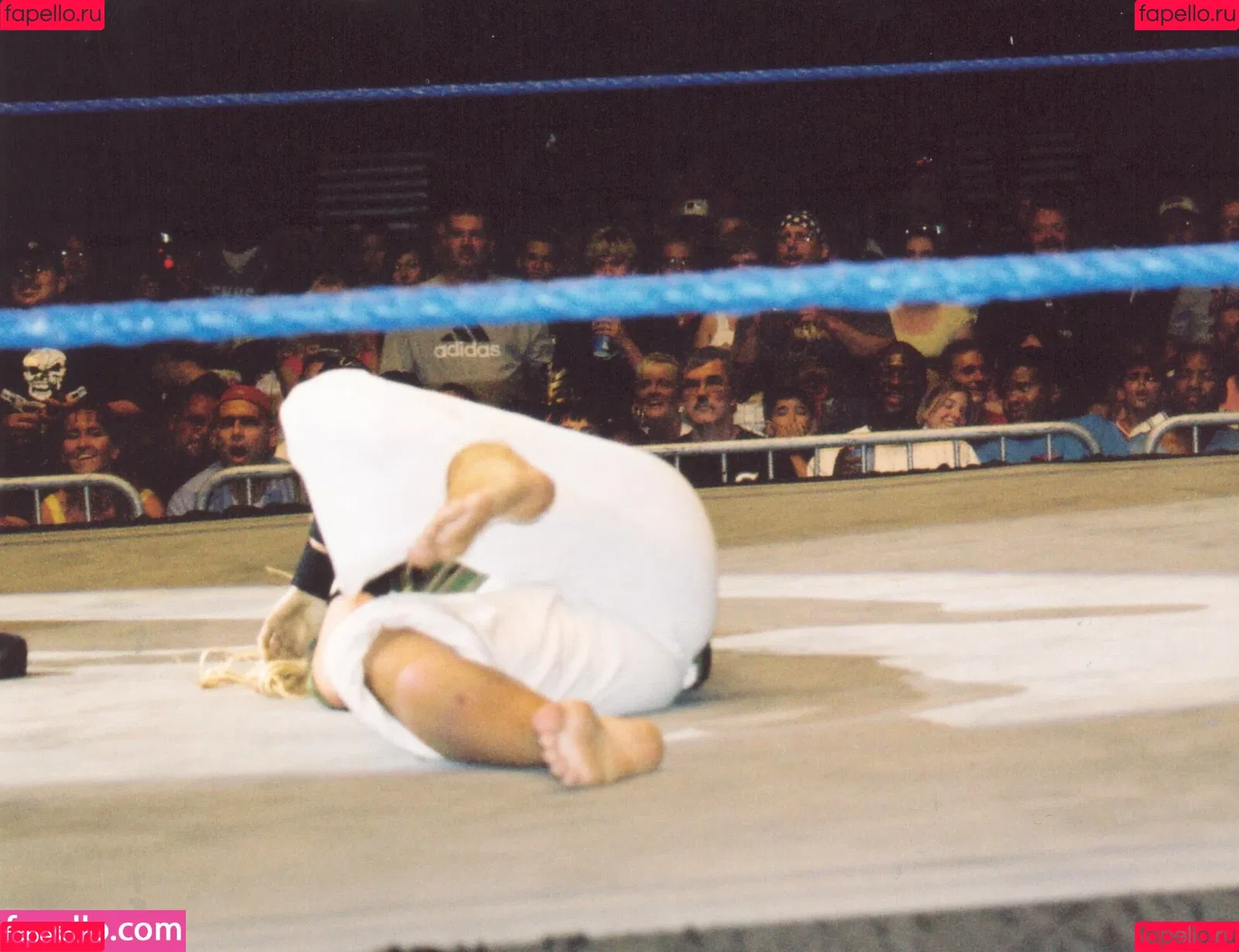 Torrie Wilson Onlyfans Photo Gallery 