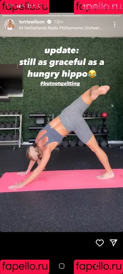 Torrie Wilson Onlyfans Photo Gallery 