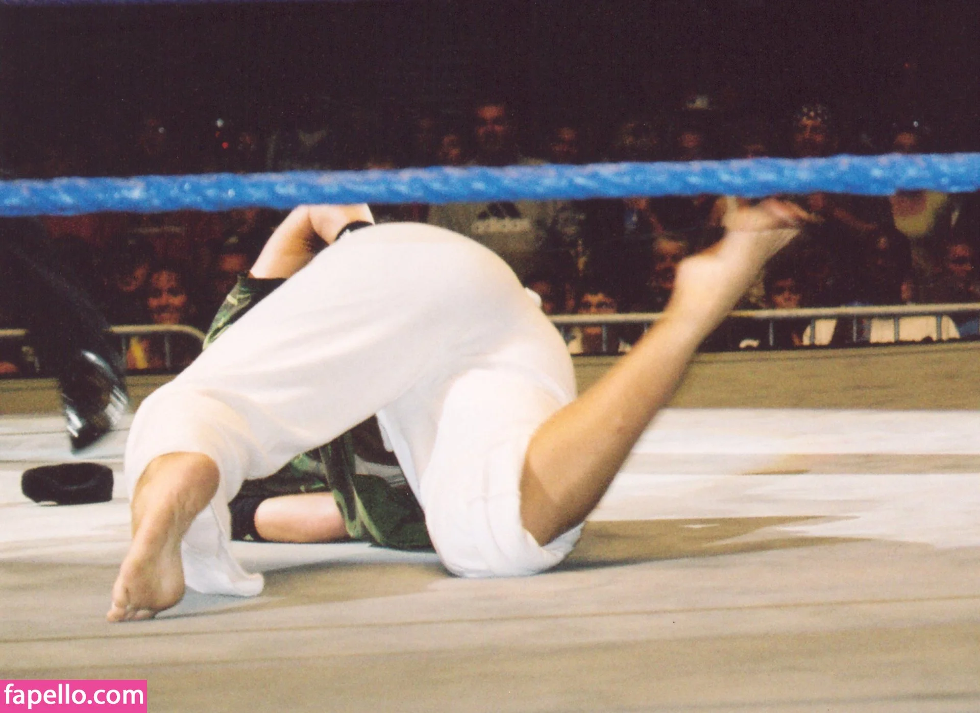 Torrie Wilson Onlyfans Photo Gallery 