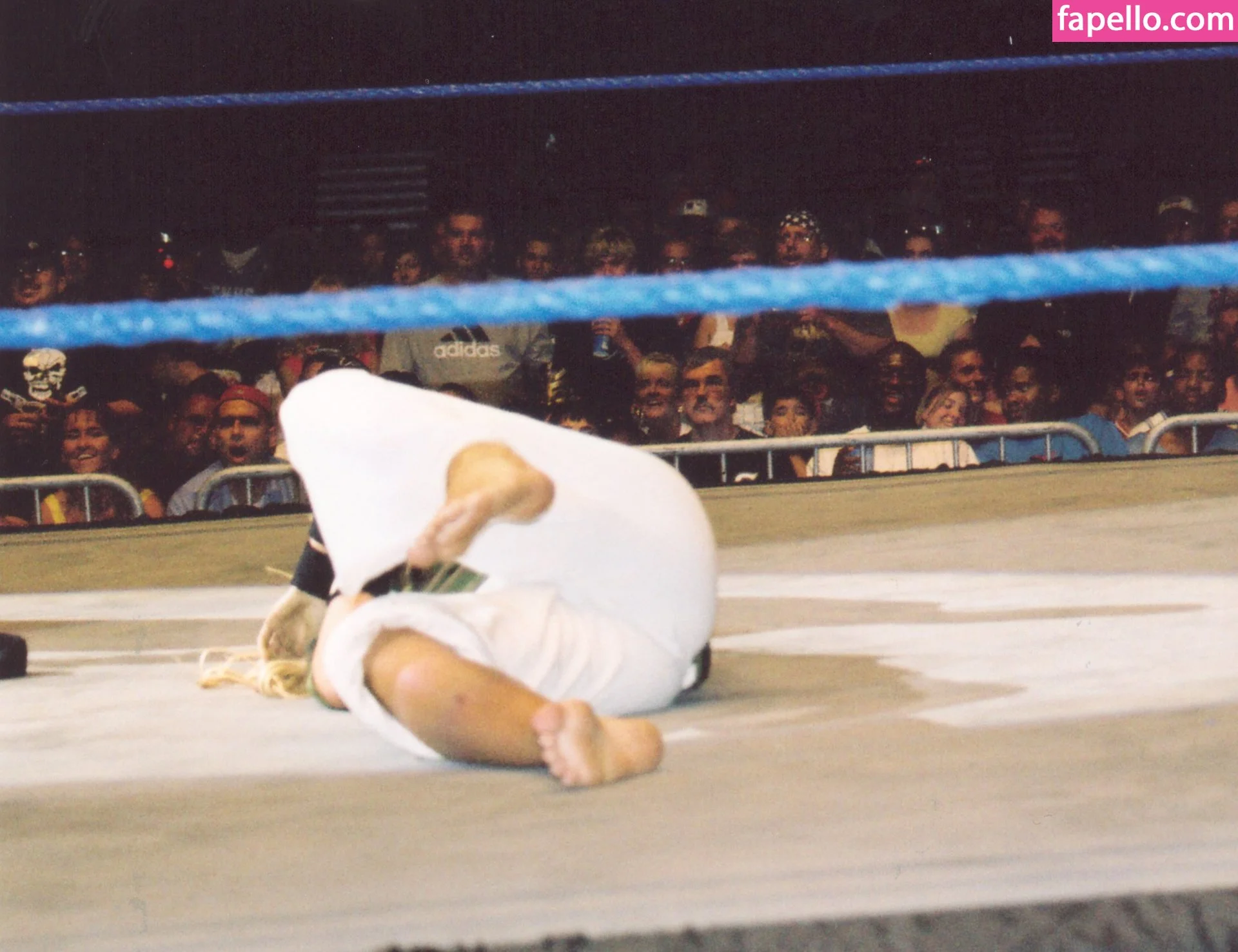 Torrie Wilson Onlyfans Photo Gallery 