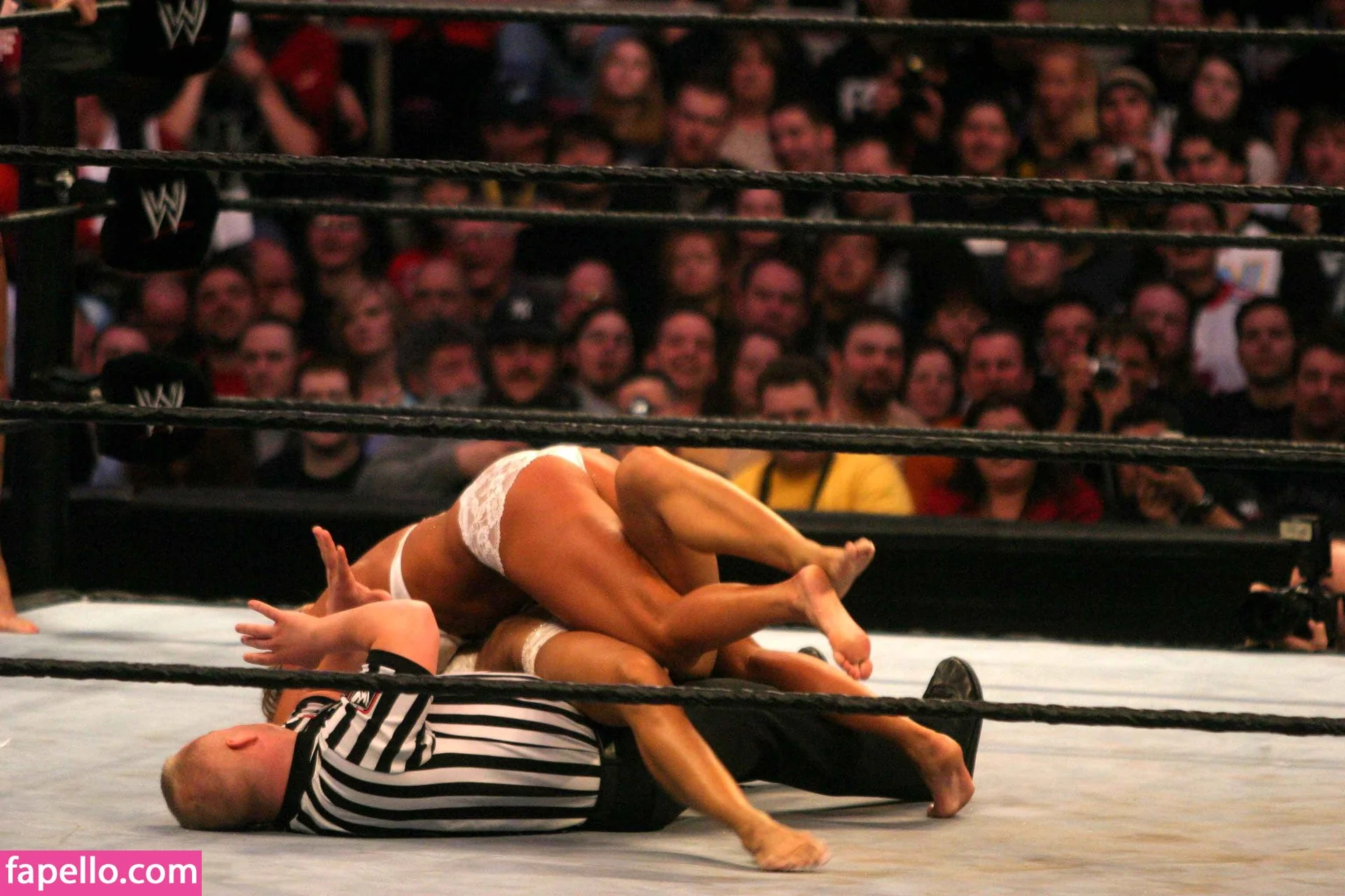 Torrie Wilson Onlyfans Photo Gallery 