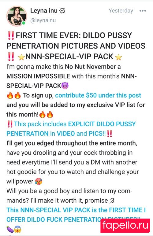 foxen_kin Nude Onlyfans Photo 6