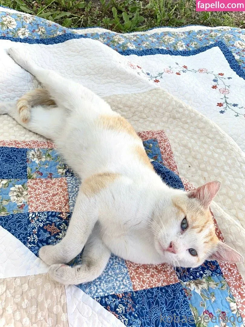 Kobaebeefboo Onlyfans Photo Gallery 