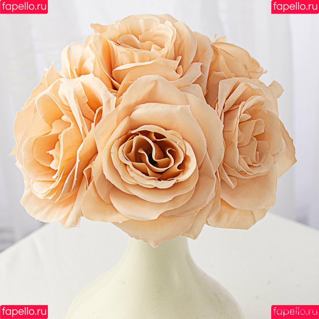 Ashley Rose Onlyfans Photo Gallery 