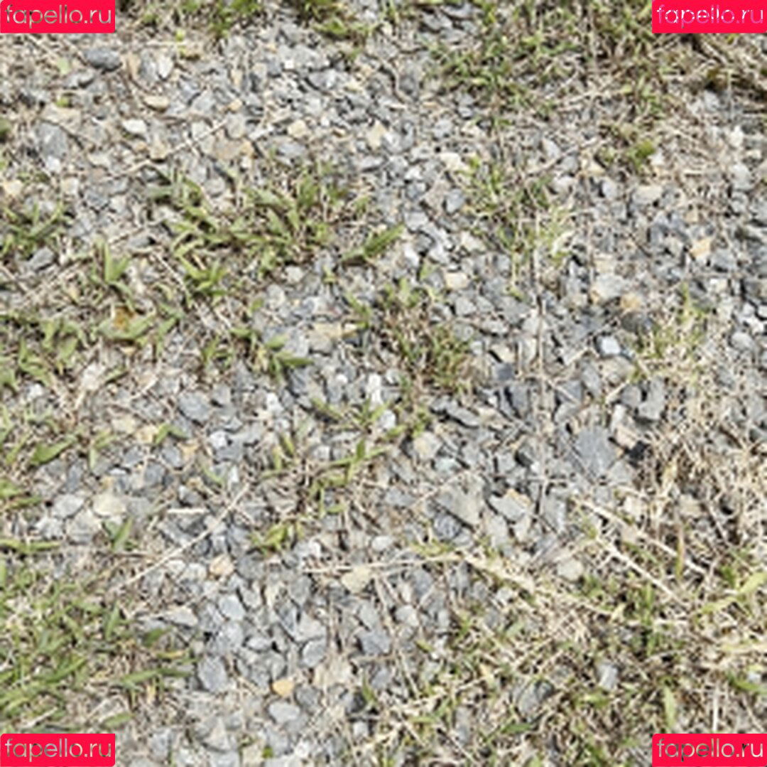 Frisky Twins Onlyfans Photo Gallery 