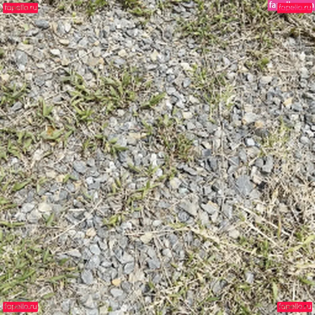 Frisky Twins Onlyfans Photo Gallery 