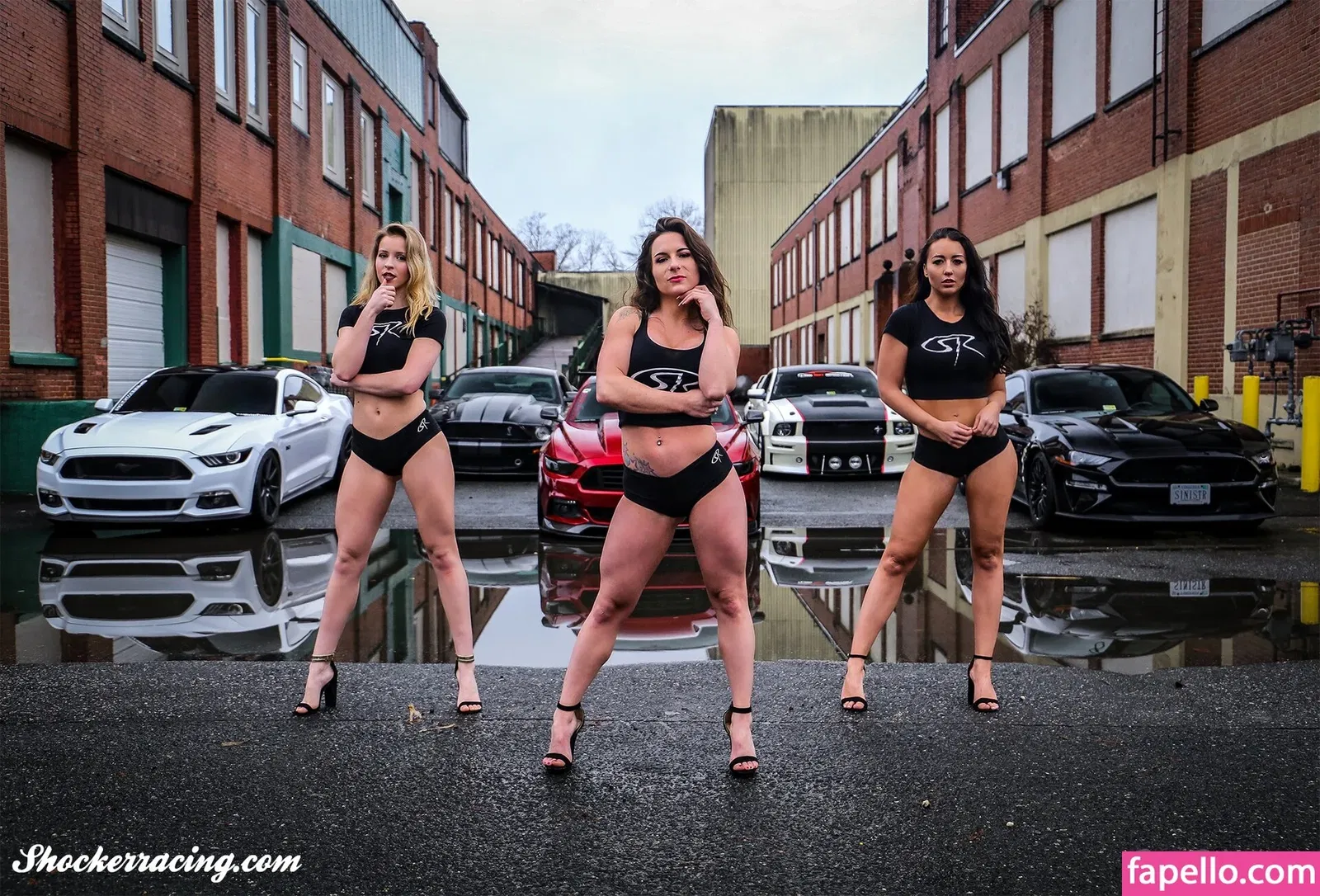 Sarah Senecal Onlyfans Photo Gallery 