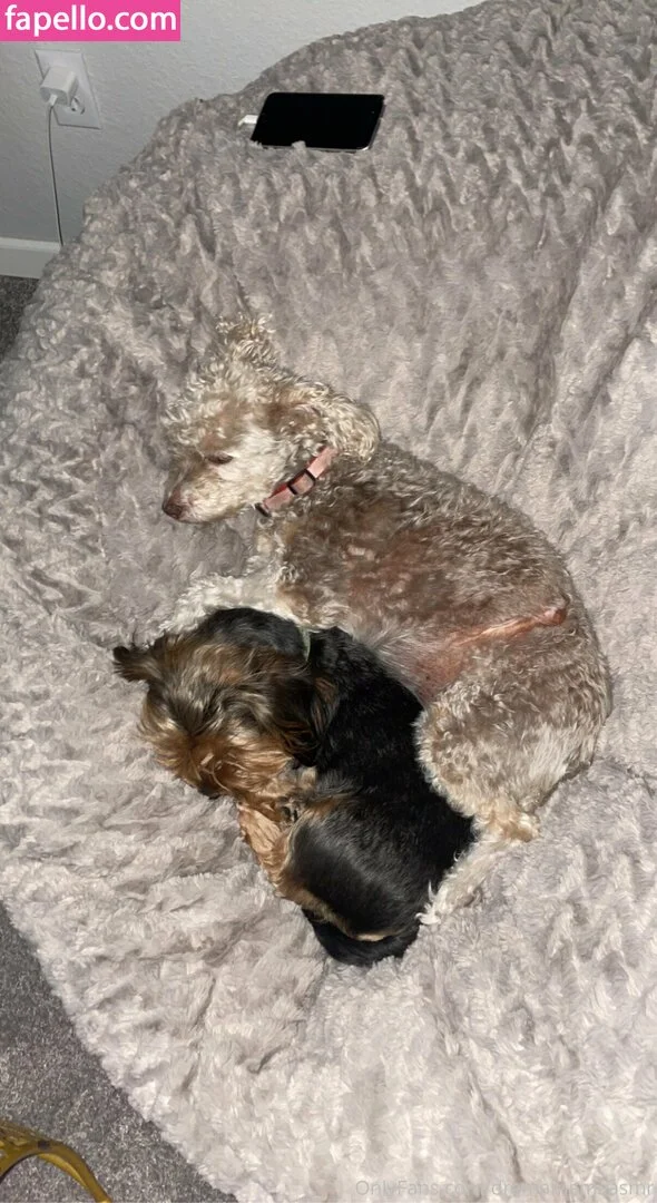 dramamamaasmr Onlyfans Photo Gallery 