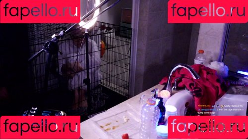 Alinity Feet Onlyfans Photo Gallery 