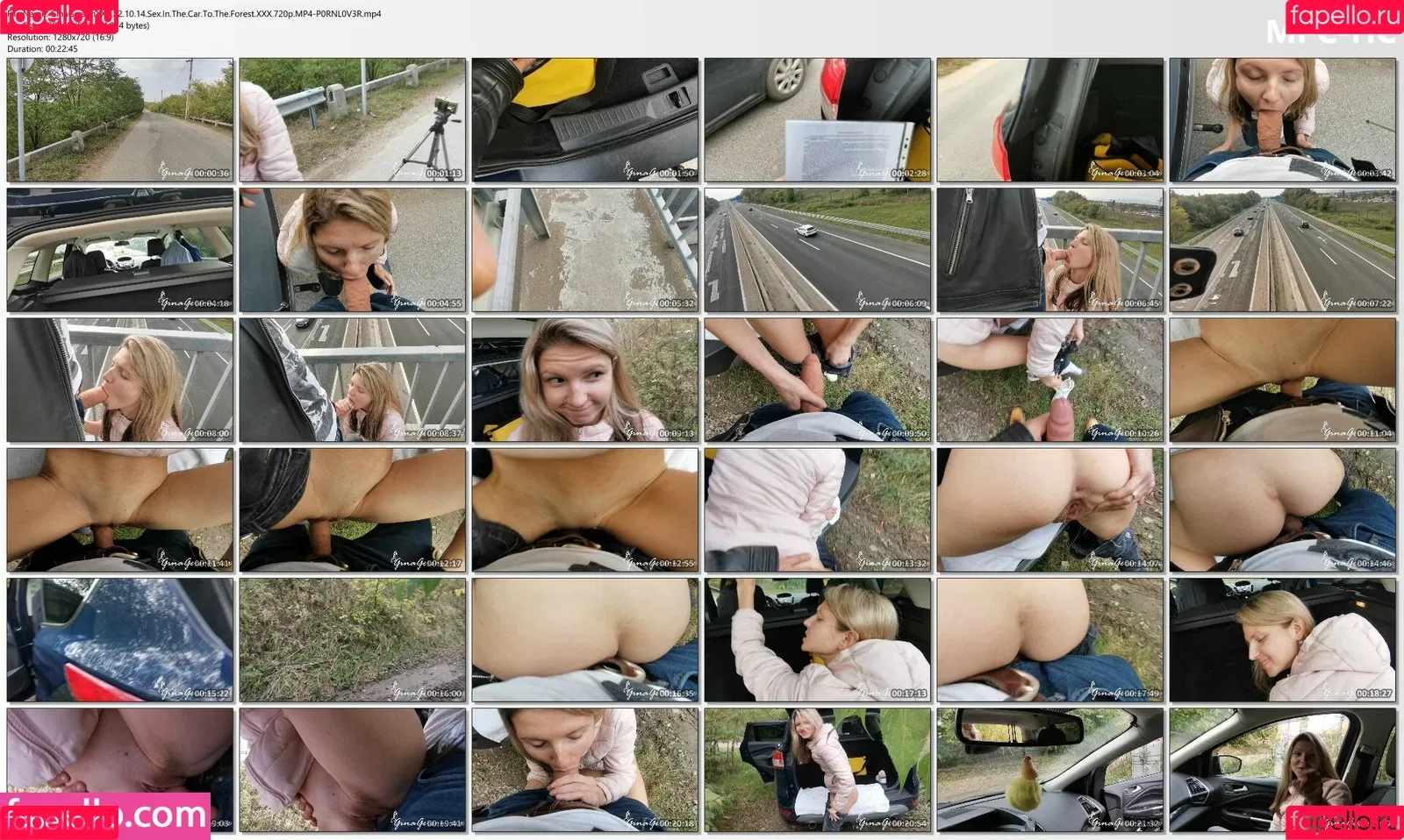 Gina Gerson Onlyfans Photo Gallery 