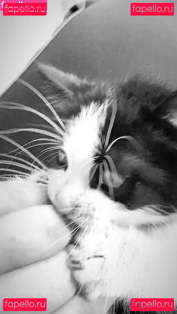 Emina Jahi Onlyfans Photo Gallery 