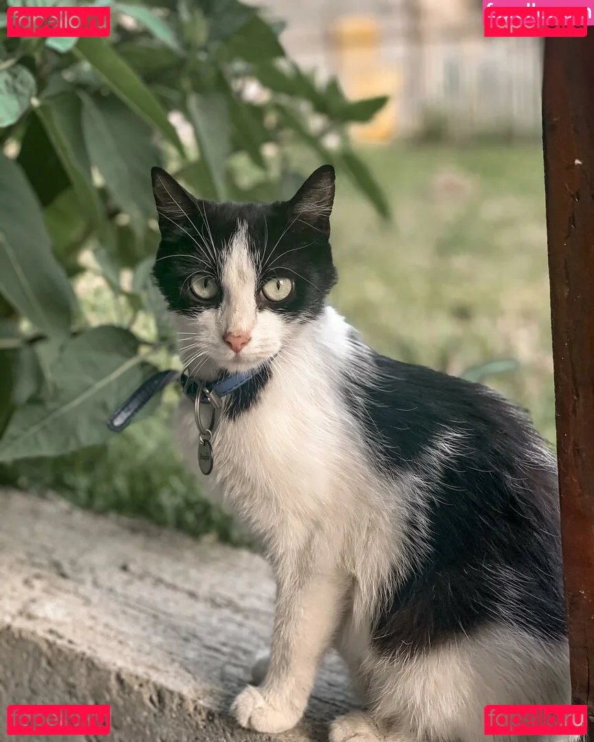 Emina Jahi Onlyfans Photo Gallery 