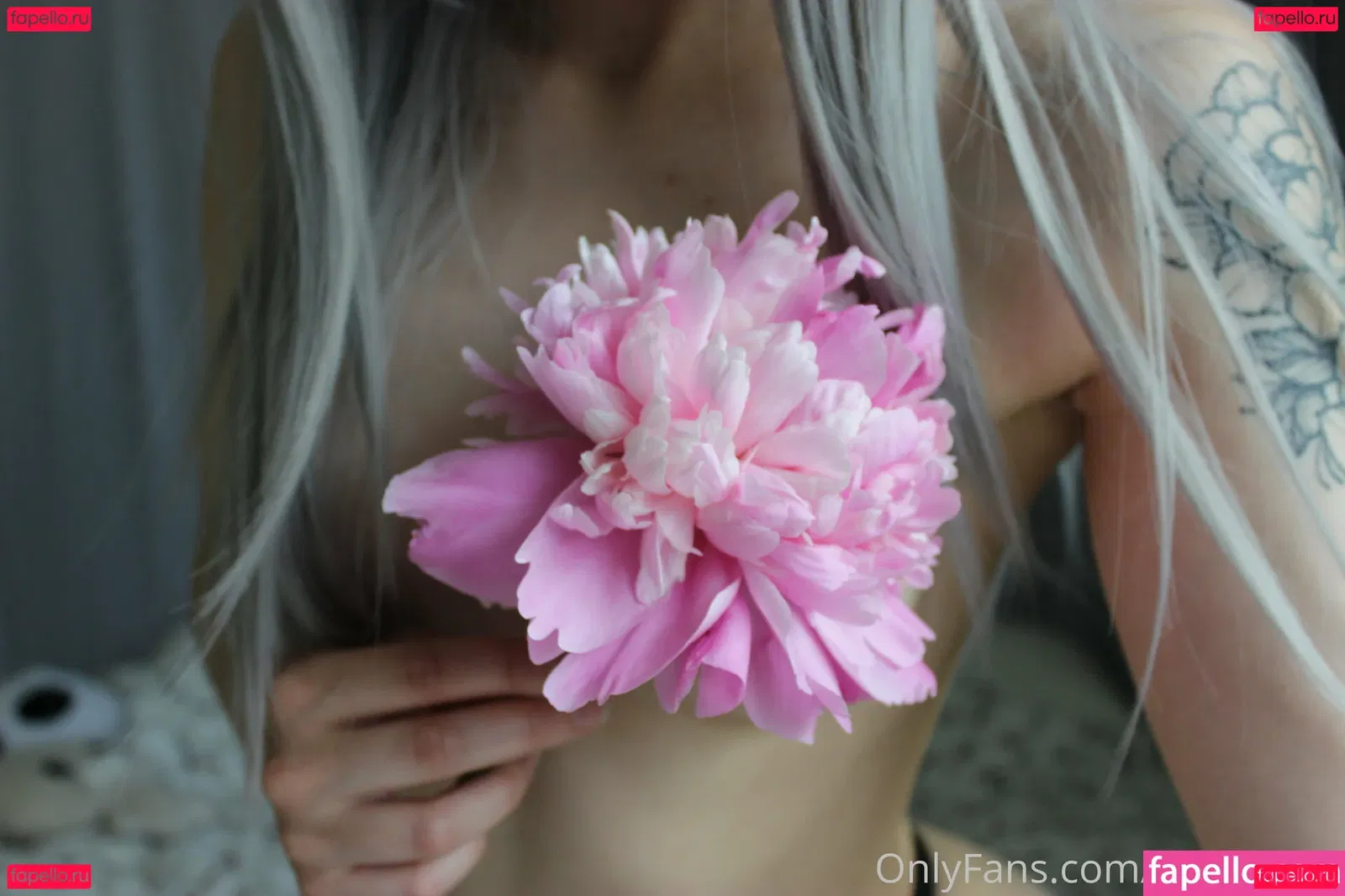 meowkott Onlyfans Photo Gallery 