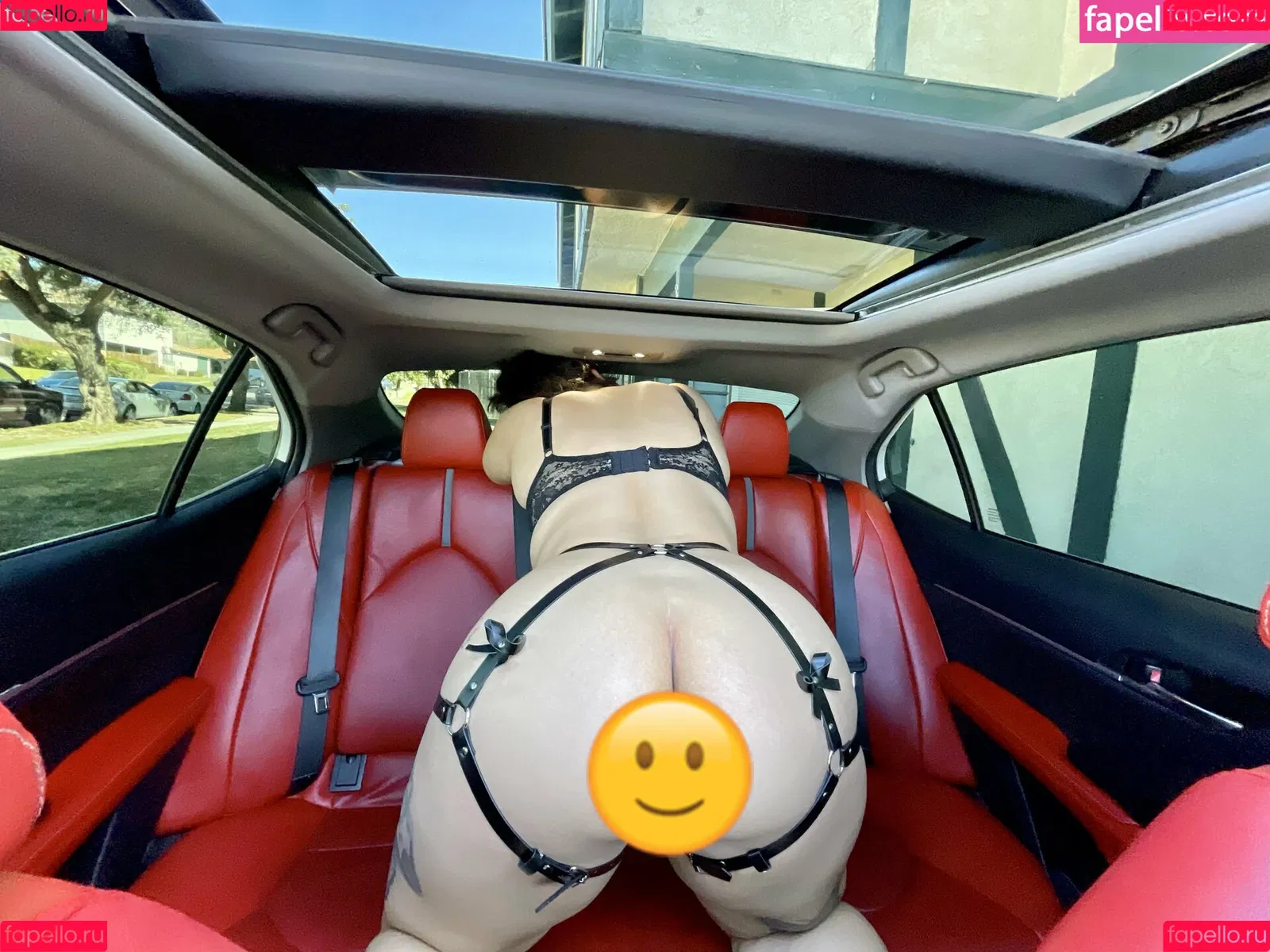 nohessyfree Onlyfans Photo Gallery 