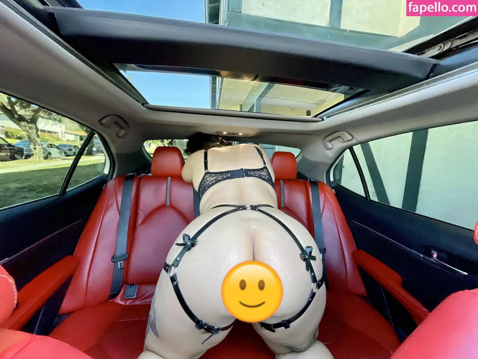 nohessyfree Onlyfans Photo Gallery 