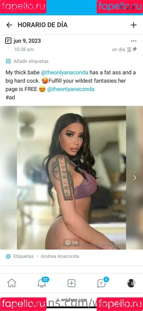 wettrans Onlyfans Photo Gallery 