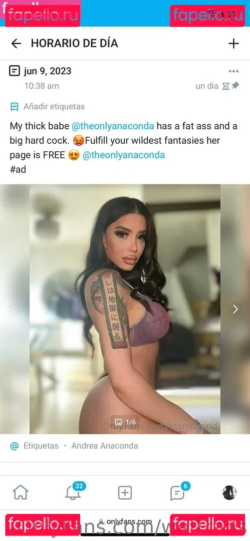 wettrans Onlyfans Photo Gallery 