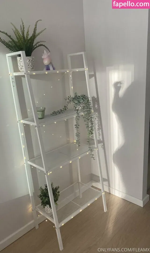 Fleamx Onlyfans Photo Gallery 