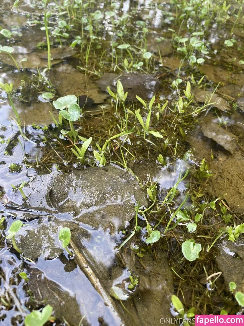 Fleamx Onlyfans Photo Gallery 