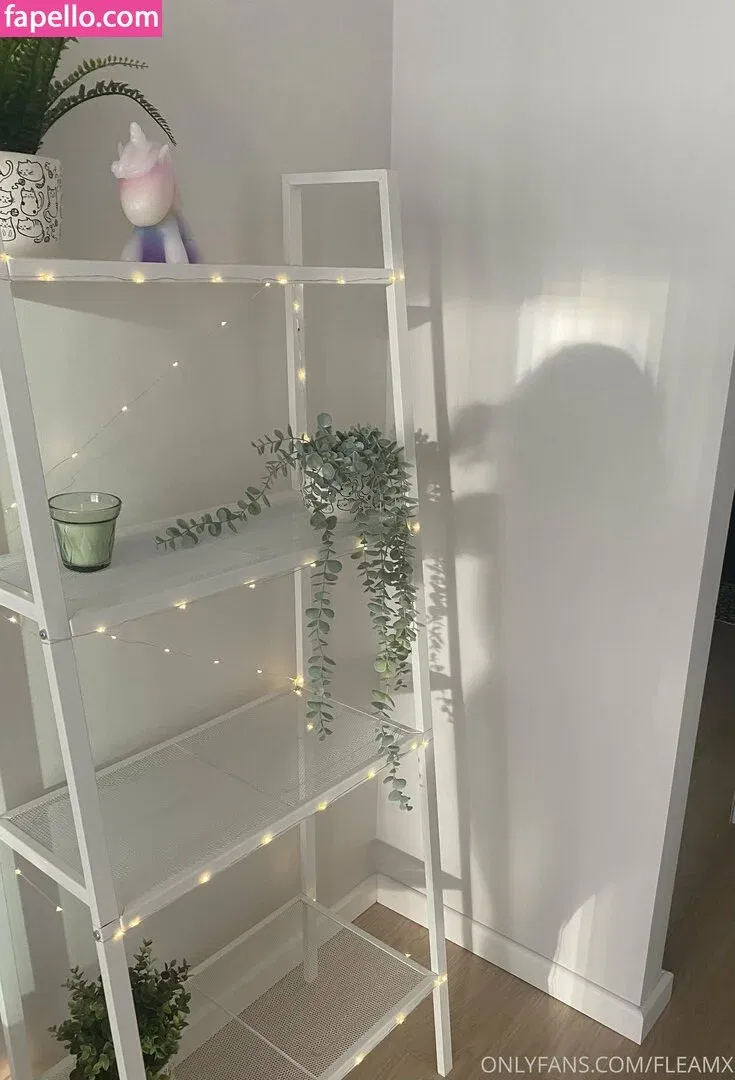 Fleamx Onlyfans Photo Gallery 