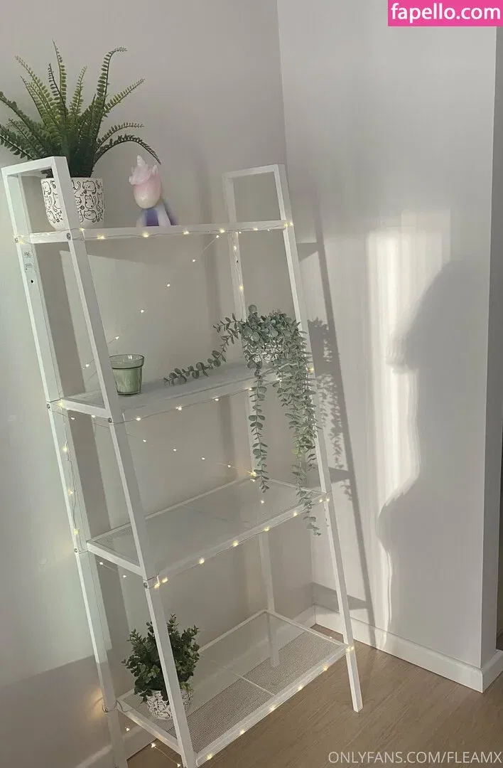 Fleamx Onlyfans Photo Gallery 