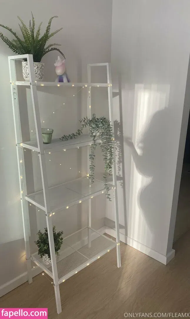 Fleamx Onlyfans Photo Gallery 