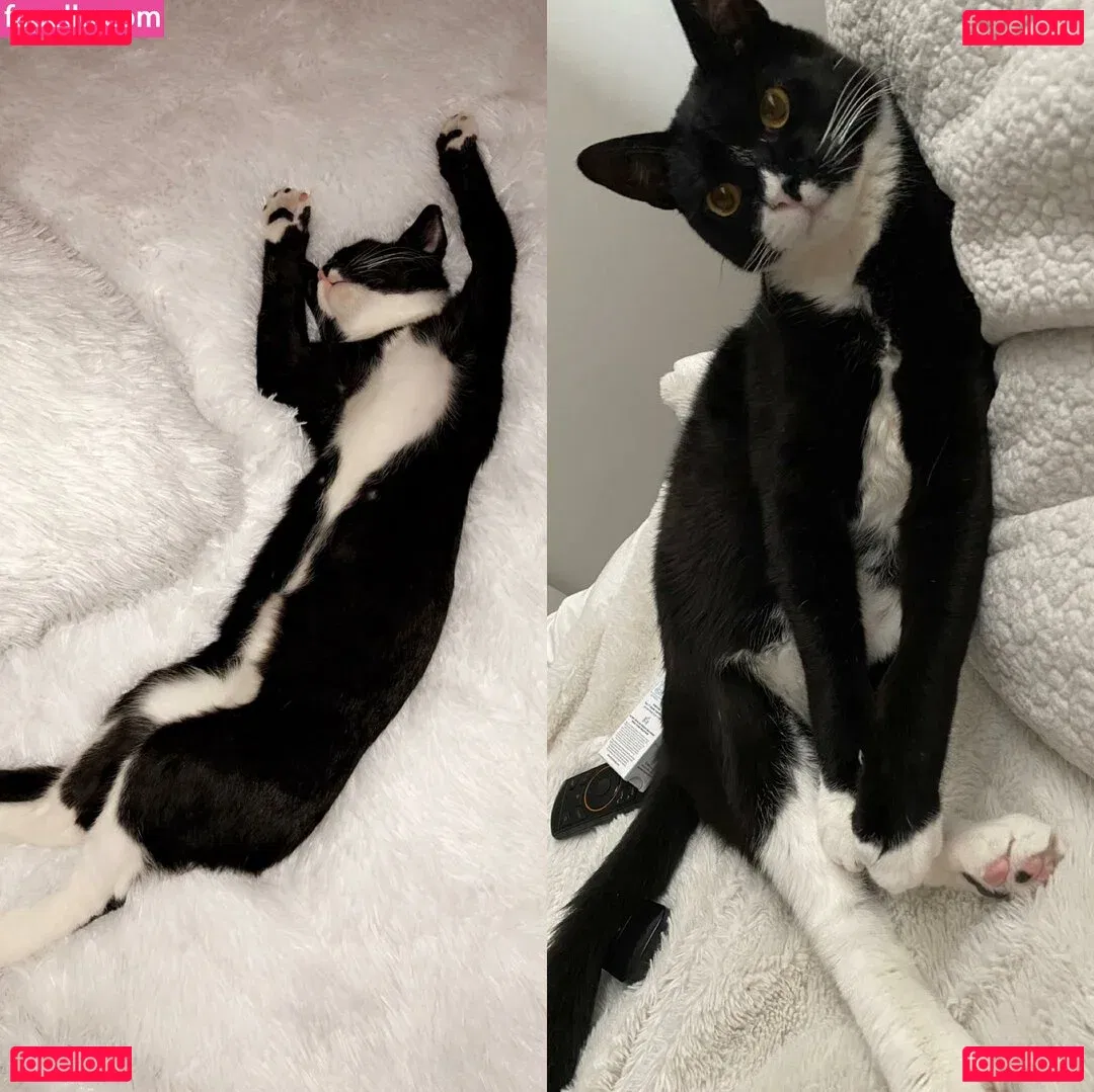 Princess Mary Onlyfans Photo Gallery 