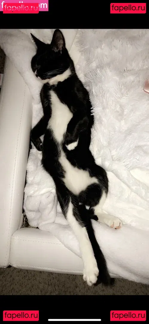 Princess Mary Onlyfans Photo Gallery 