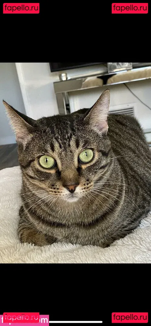 Princess Mary Onlyfans Photo Gallery 