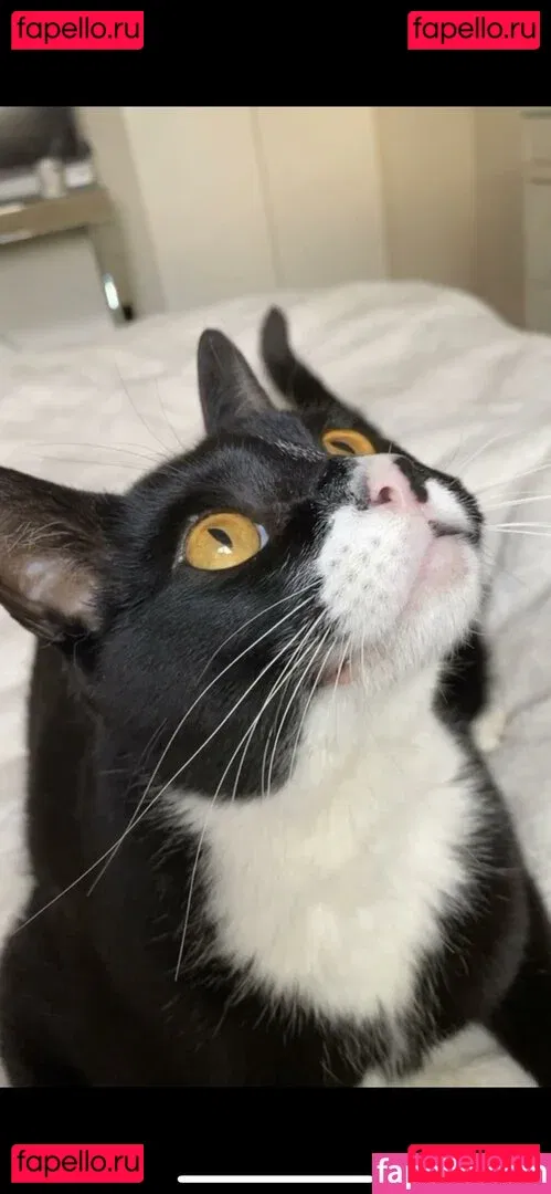 Princess Mary Onlyfans Photo Gallery 