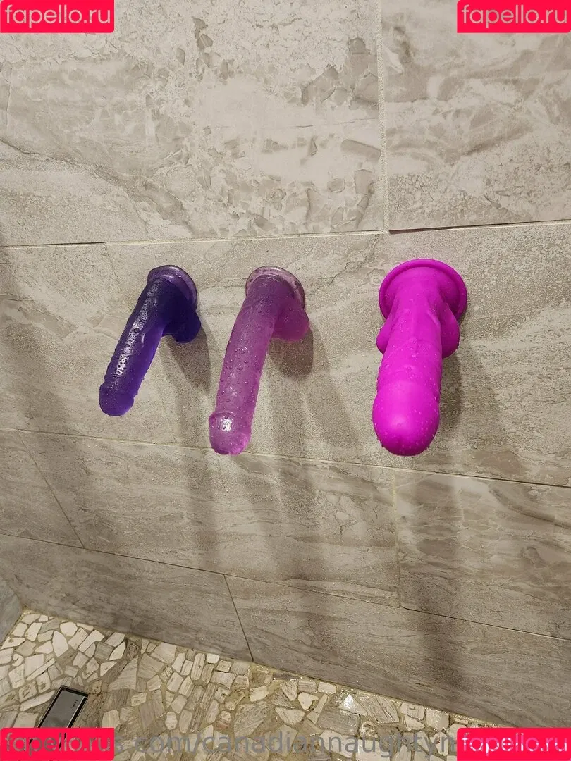 canadiannaughtyneighbour Onlyfans Photo Gallery 