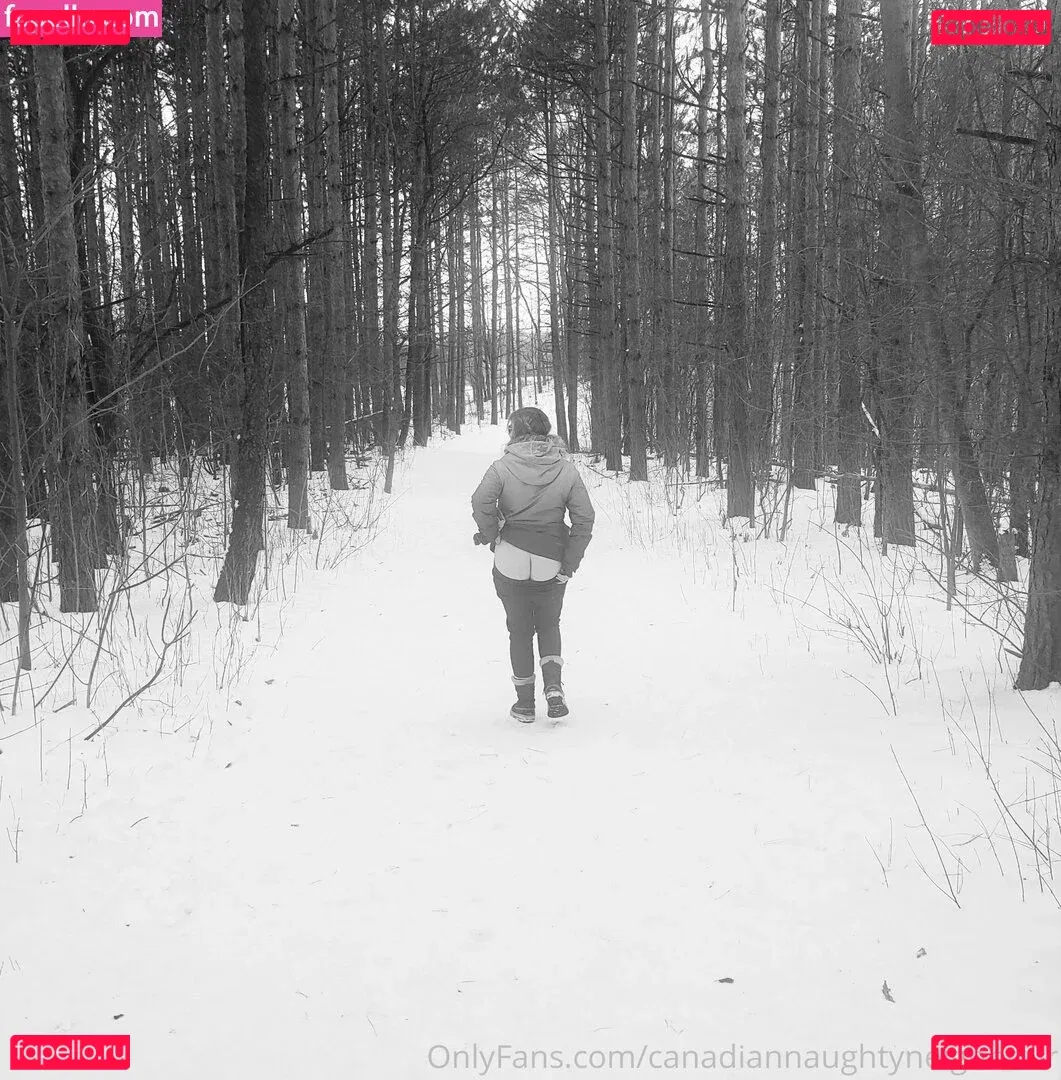 canadiannaughtyneighbour Onlyfans Photo Gallery 