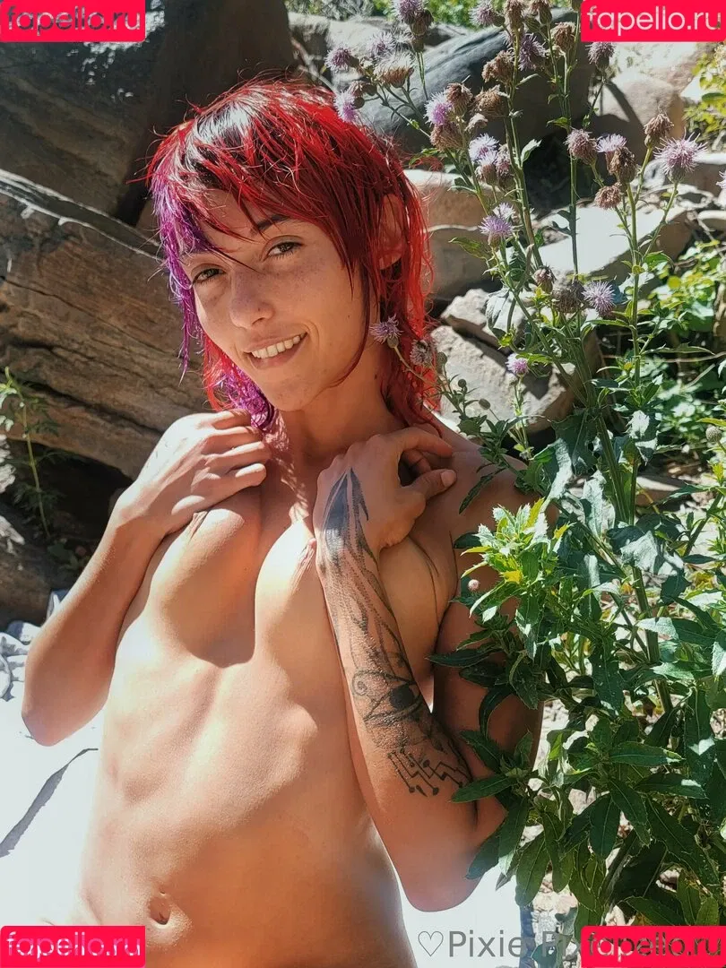 PixiePixelized Onlyfans Photo Gallery 